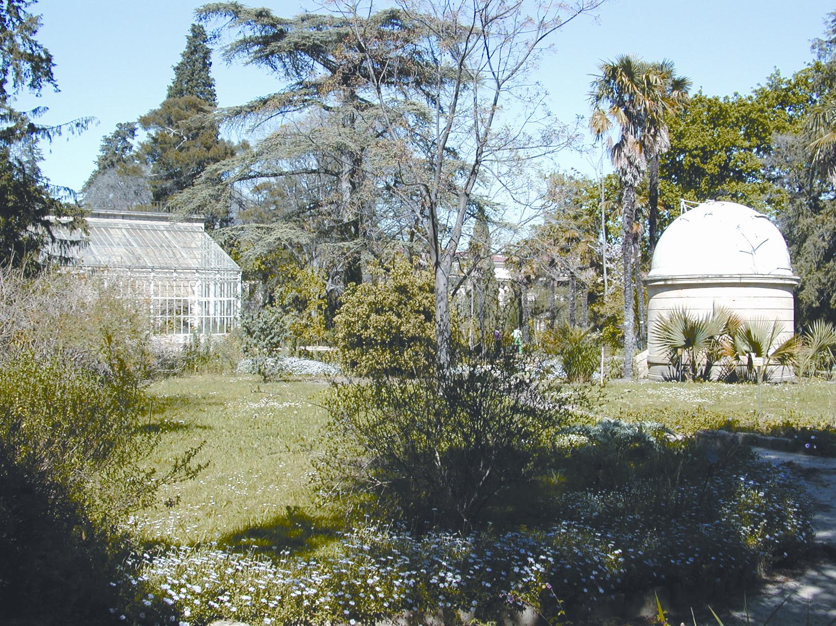 Jardin des Plantes  Montpellier Tourisme