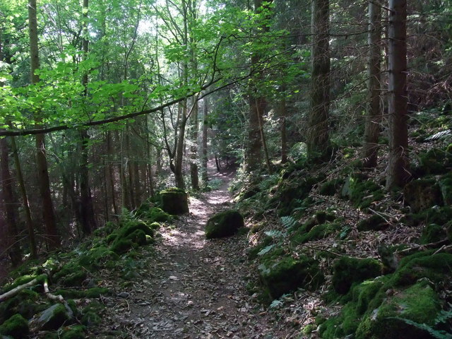 Offa's Dyke Path through the middle section of Trevor Hall Wood - geograph.org.uk - 919579