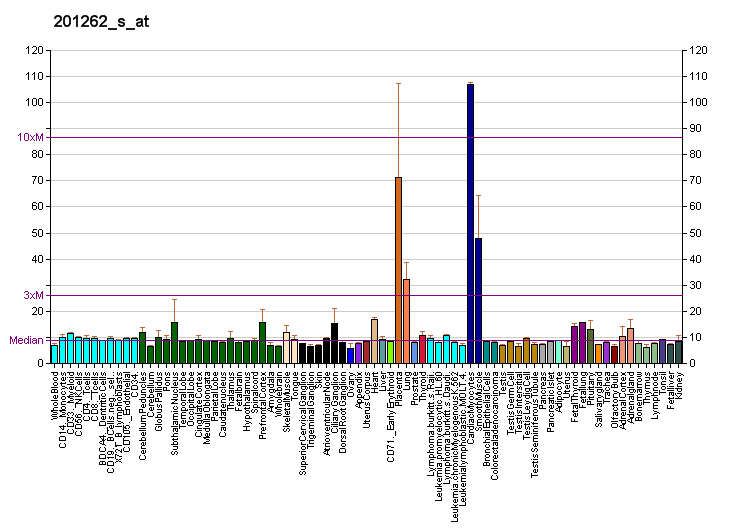 File:PBB GE BGN 201262 s at fs.png