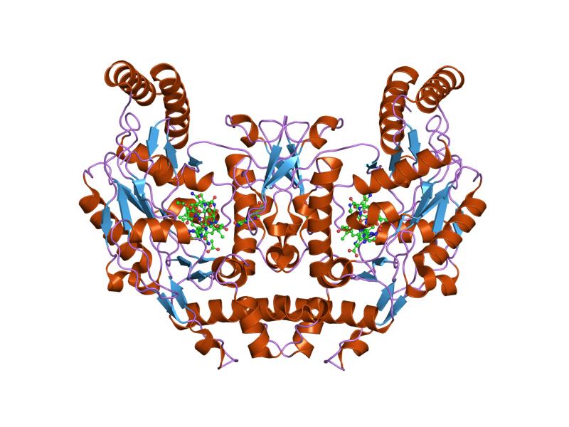 File:PDB 1zzq EBI.jpg