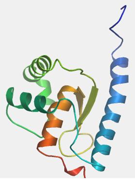 <span class="mw-page-title-main">PBDC1</span> Human gene