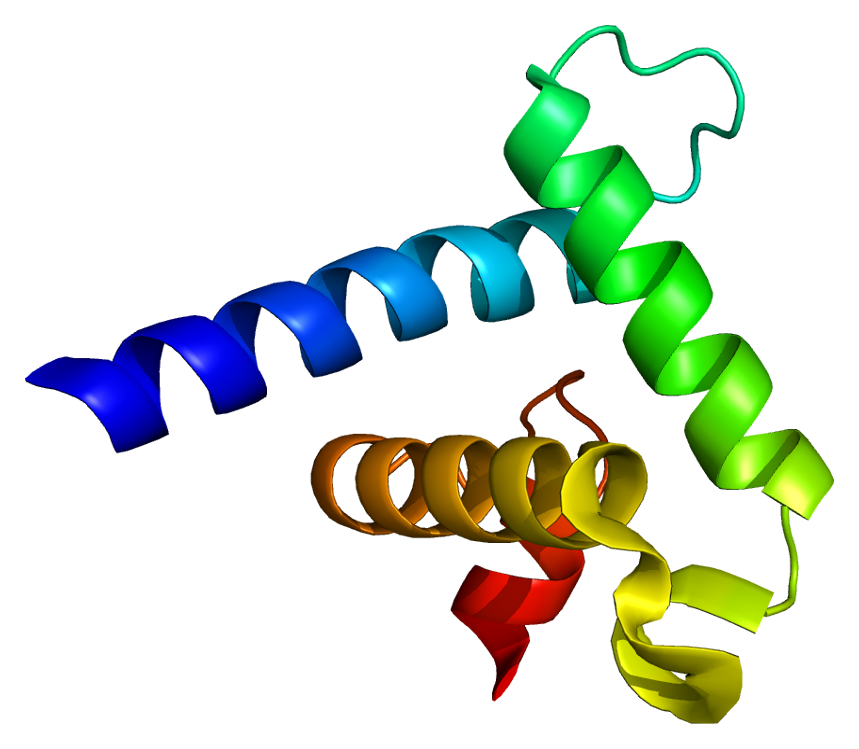 Binding post - Wikipedia