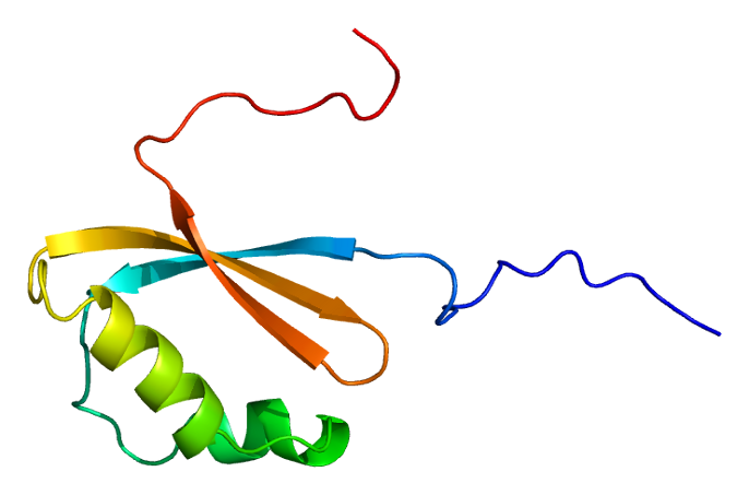 File:Protein RPL12 PDB 1wib.png