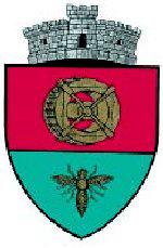 ROU SV Satu Mare CoA.png