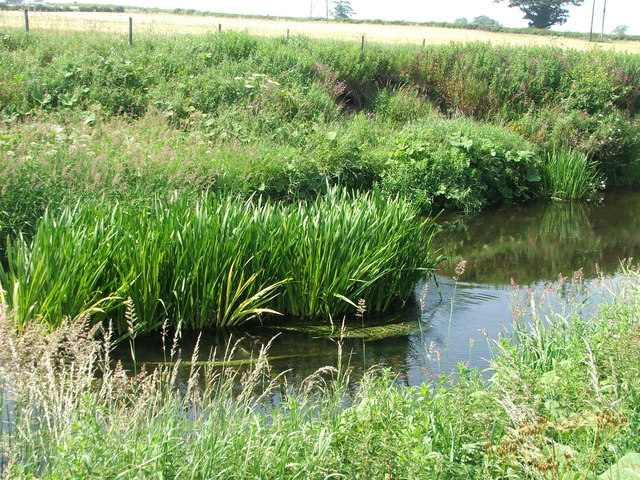 File:River Aln - geograph.org.uk - 195118.jpg