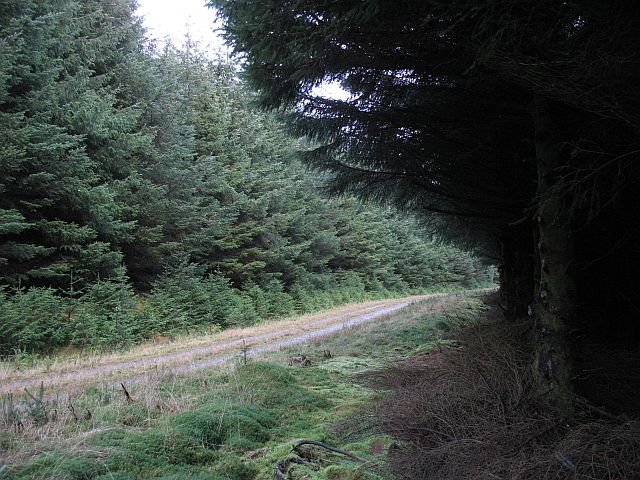 File:Silver Jubilee Road - geograph.org.uk - 630137.jpg