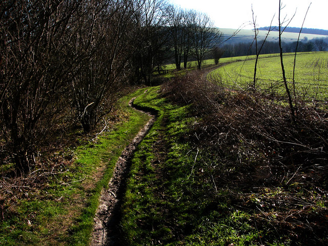 File:South Downs Way, above Mount Sinai - geograph.org.uk - 688281.jpg