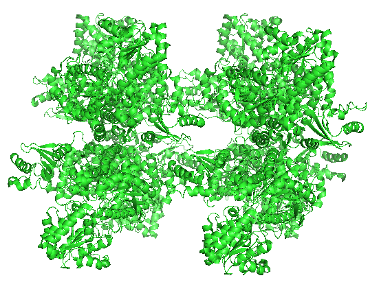 File:Sucrose Synthase-1 3S27.png