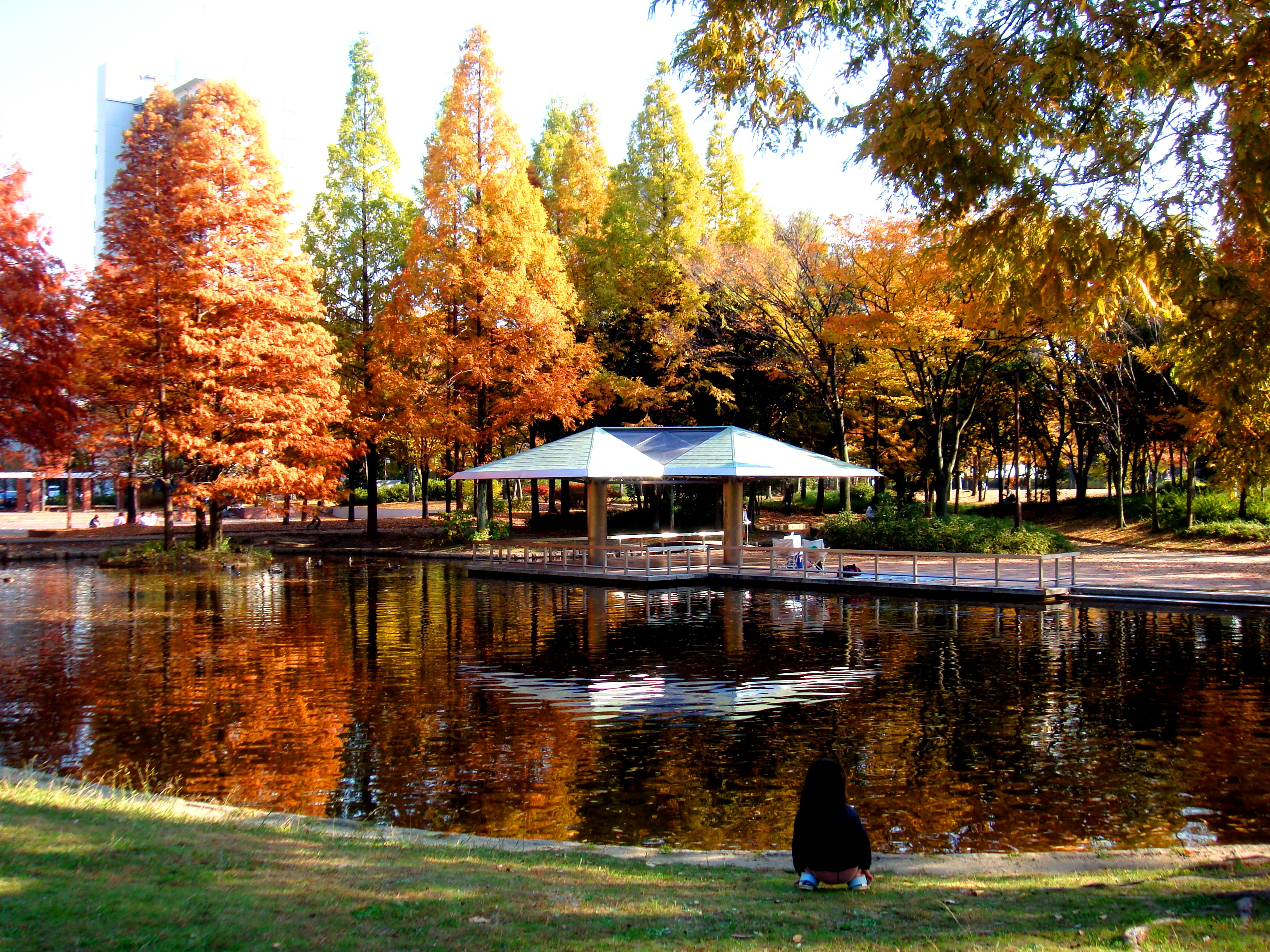 File 神宮東公園 Jinguhigashi Park Panoramio 1 Jpg Wikimedia Commons