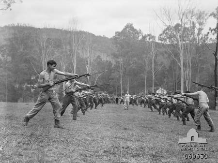 File:AWM 060650 Jungle Training Centre Canungra November 1943.jpg