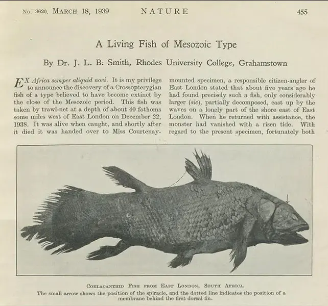 File:A Living Fish of Mesozoic Type.png