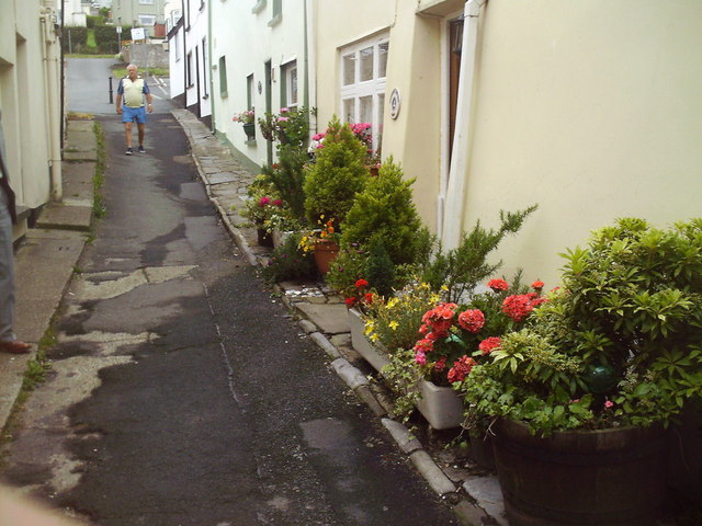 A Steep Street in Appledore - geograph.org.uk - 347153