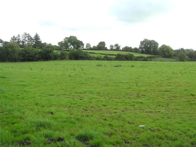 File:Annaghmurnin Townland - geograph.org.uk - 1453989.jpg