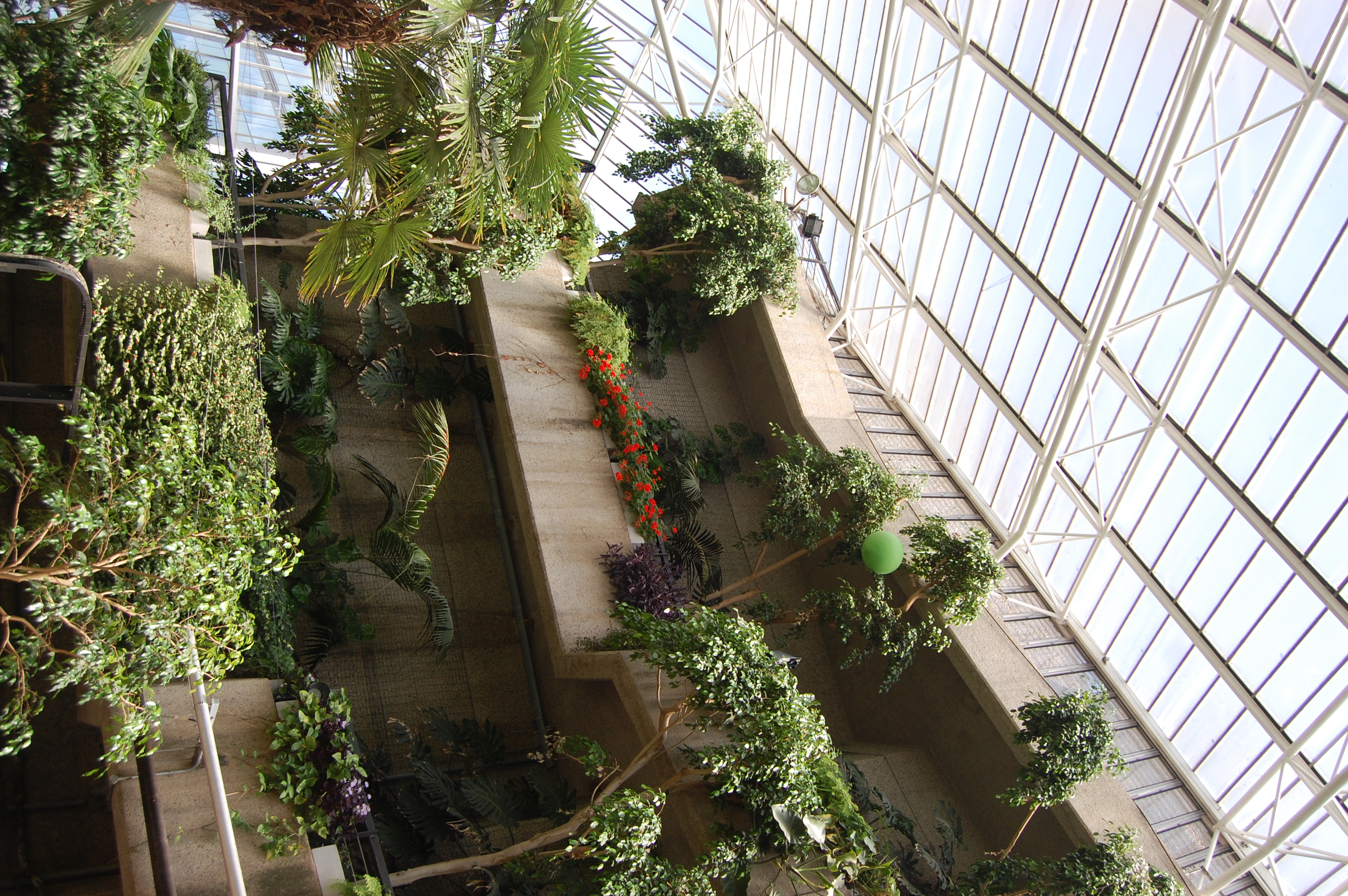 Barbican Conservatory