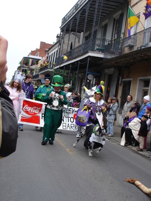 File:Barkus06GreenHatFQ.jpg