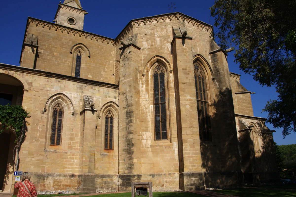 Resultado de imagen de imagenes de avellanas santa liña lleida