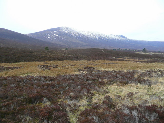 File:Ben Rinnes viewed from the north-east - geograph.org.uk - 879116.jpg