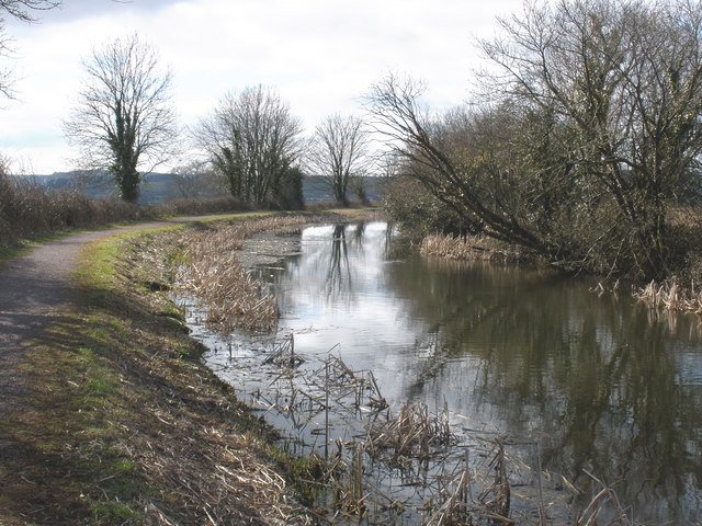 File:Bend in the canal - geograph.org.uk - 1175728.jpg