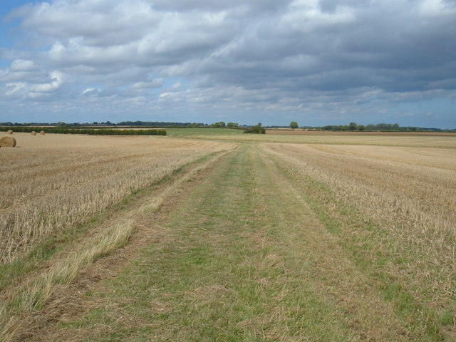 File:Bridleway East of Rise - geograph.org.uk - 1467746.jpg