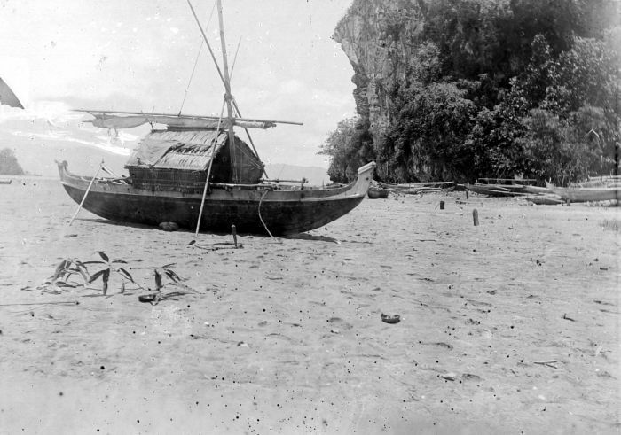 File:COLLECTIE TROPENMUSEUM Bagageprauw op het opgedroogde strand van Kaibobo daarachter een kalksteenklip TMnr 10010504.jpg