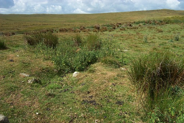 File:Cairn near Moel Gydia - geograph.org.uk - 211199.jpg