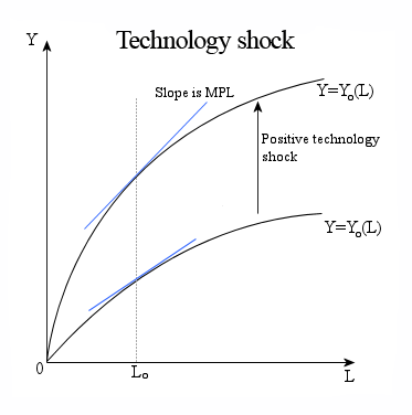 An example of the function, where Y=output, L=labor, MPL=marginal product of labor.
The technology shock increases the output given the same level of, in this case, labor. The marginal product of labor is higher after the positive technology shock, this can be seen in the MPL (blue) line being steeper. Economics technology shock.png