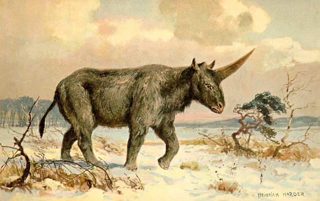Researchers Find Siberian 'Unicorn' Fossil Fragments in Kazakhstan, Say  Creature Lived Much Longer Than Thought | Ancient Origins