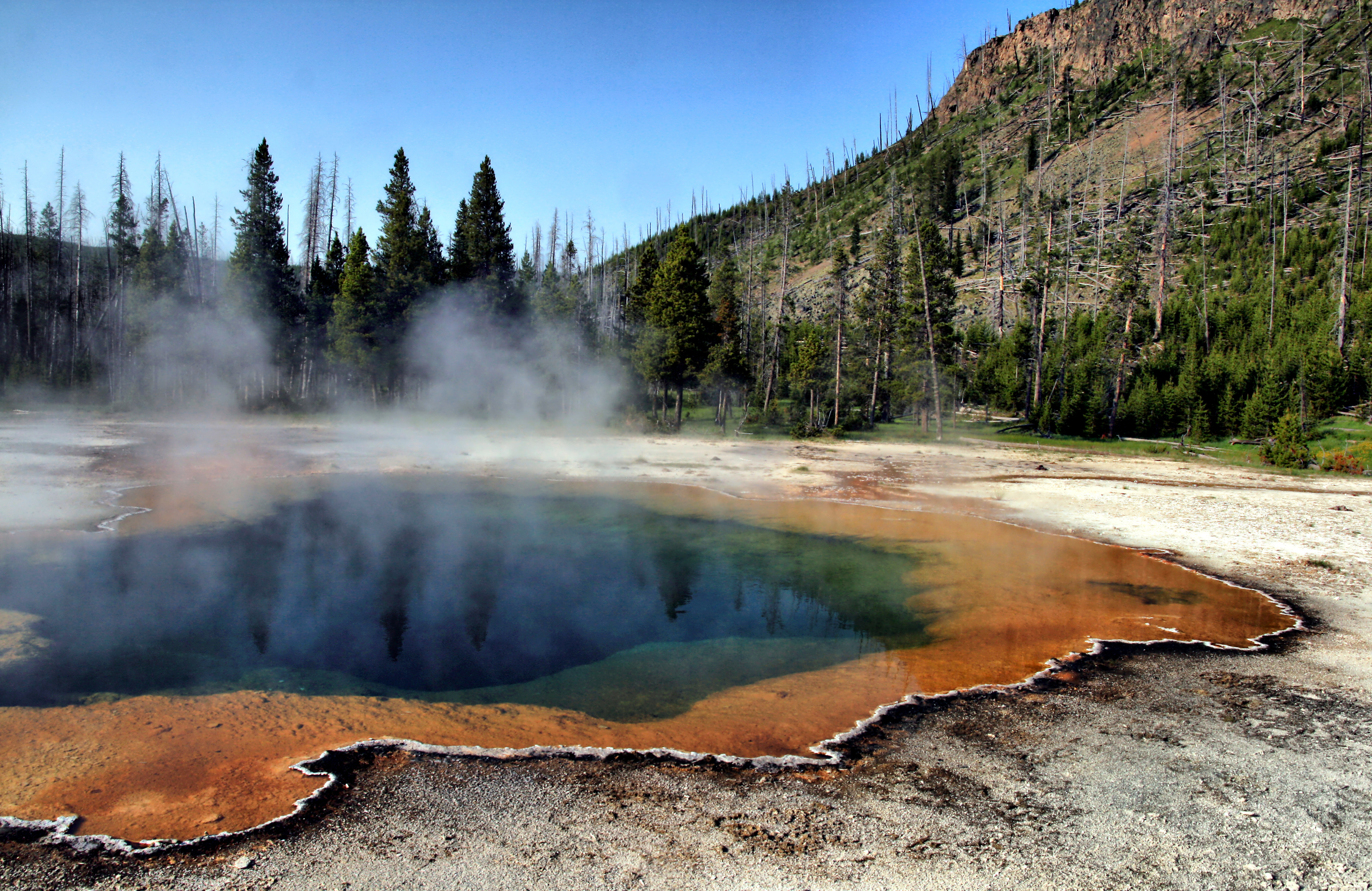 Hot springs of Yellowstone National Park.