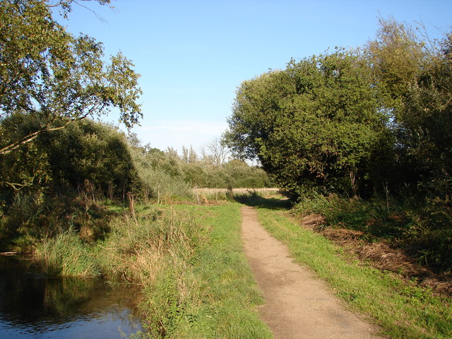 Footpath on Oughtonhead Common - geograph.org.uk - 245102