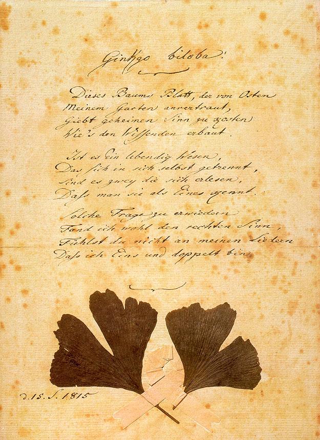 Goethe liebesgedicht Liebesgedichte für