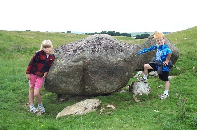 File:Granite Erratic, Gaythorne Plain - geograph.org.uk - 444936.jpg