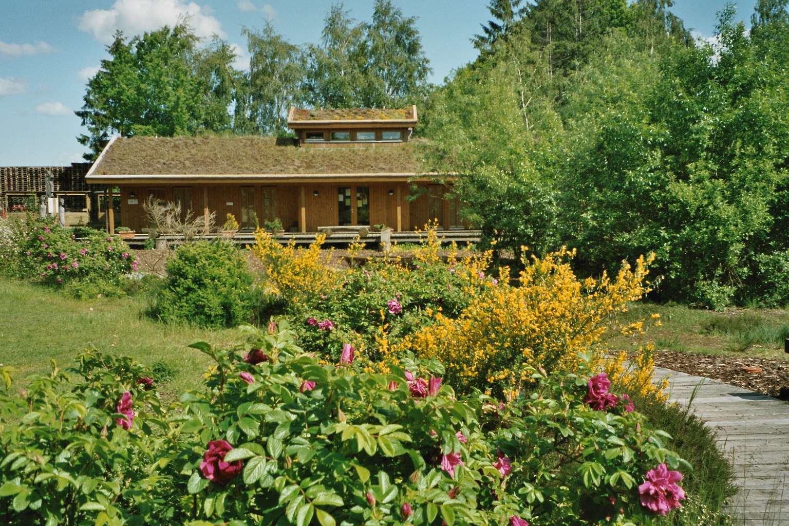 Datei Haus Im Moor 1 Jpg Wikipedia