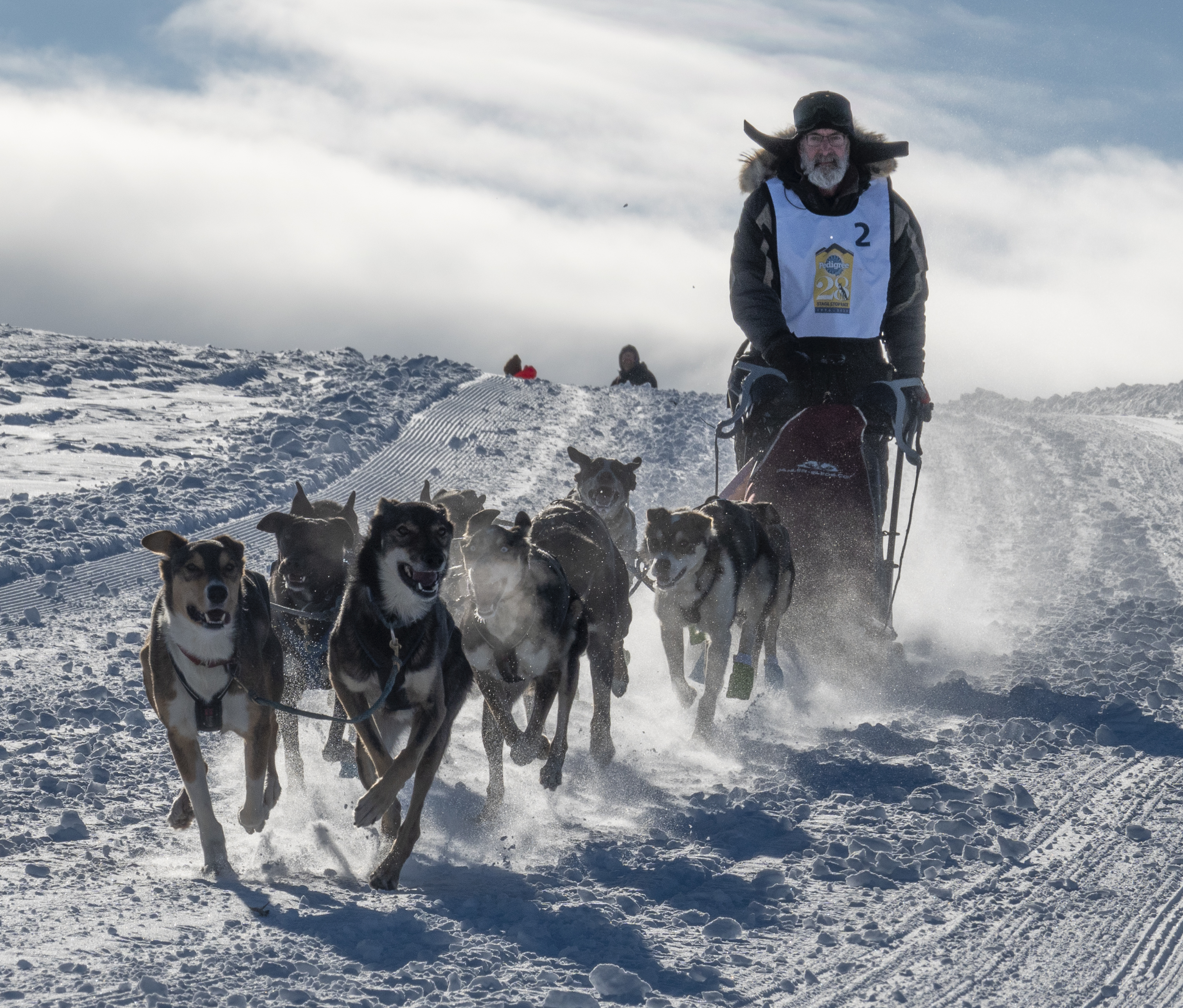 Sled race