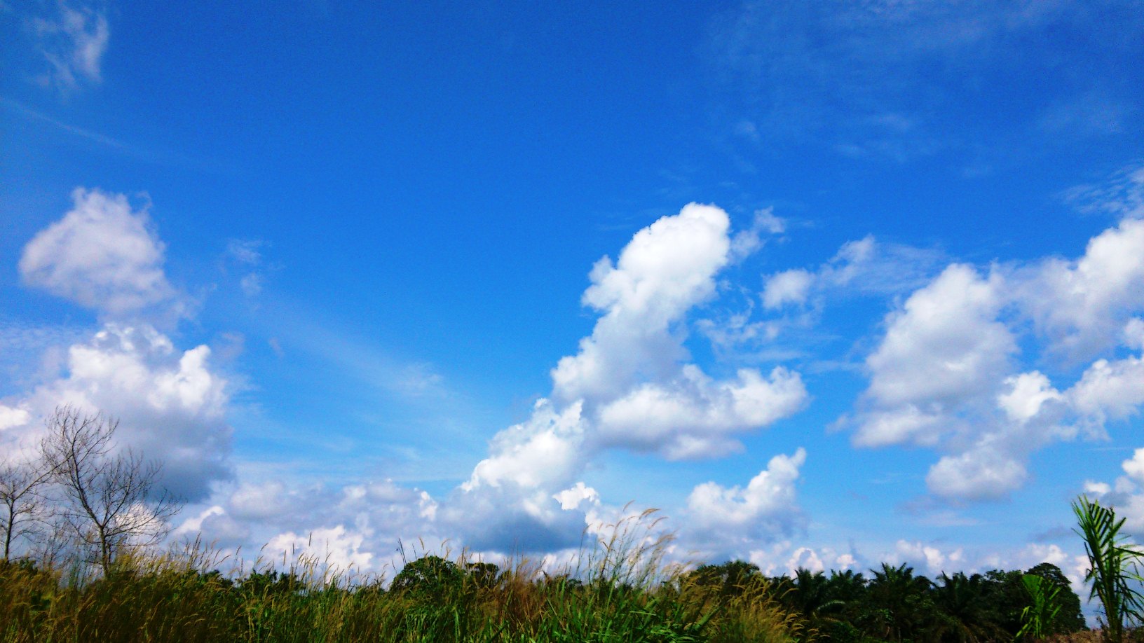 File Mendung di langit biru 52 JPG Wikimedia Commons