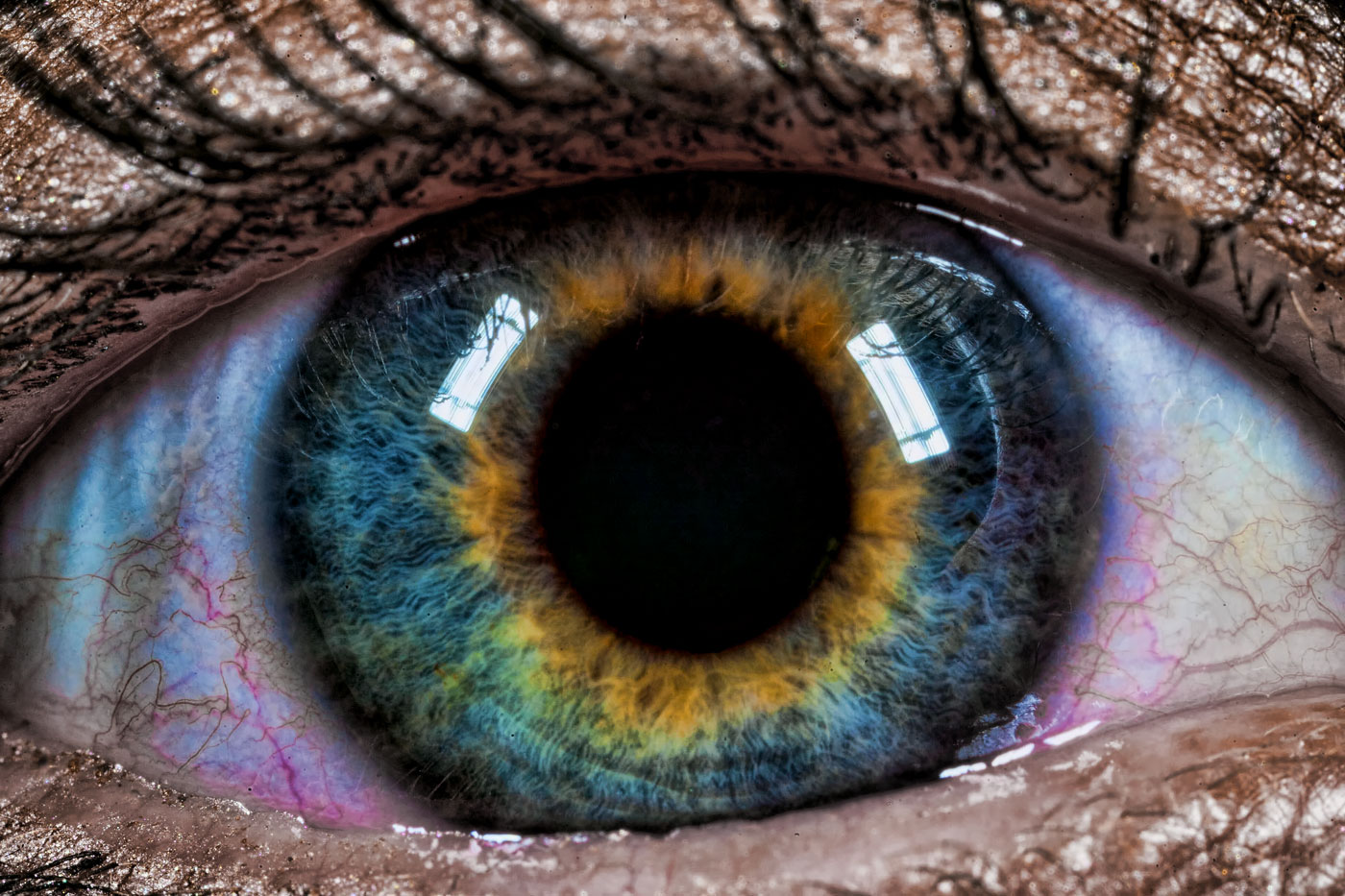 File:Eyeball Blue.jpg - Wikipedia