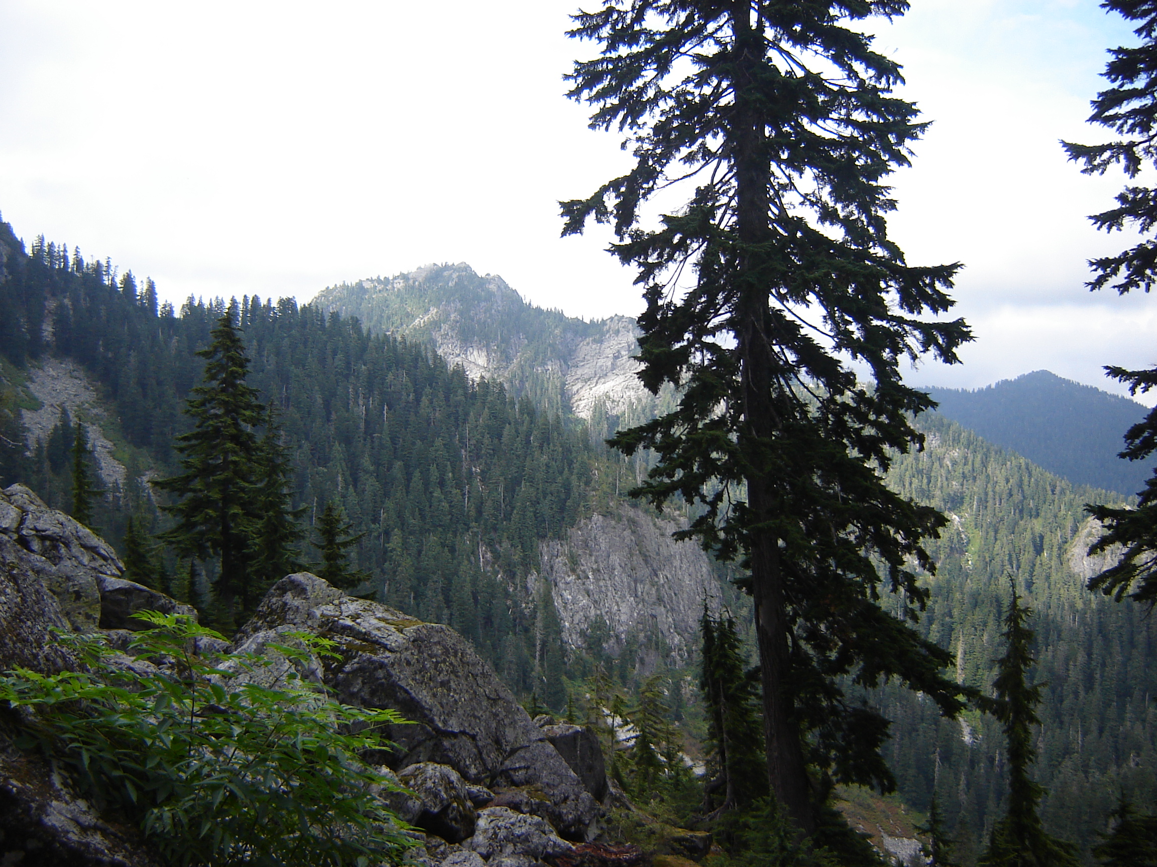 Photo of Mount Seymour Provincial Park