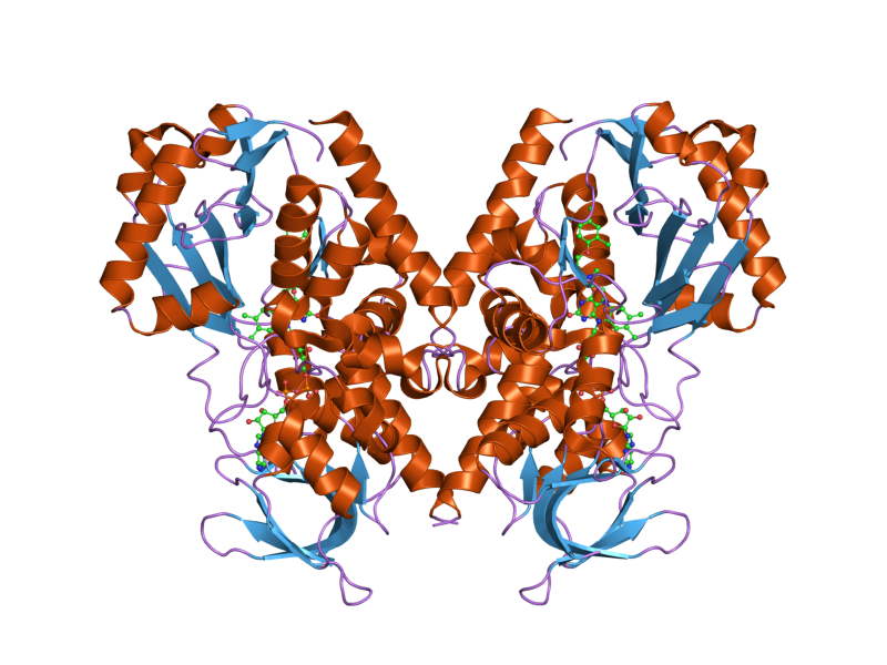 File:PDB 2bxr EBI.png