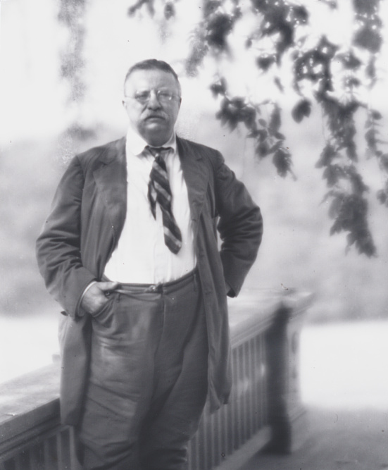 Theodore Roosevelt photo #86021