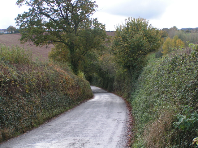 File:Road to Haldon Hills - geograph.org.uk - 1577891.jpg