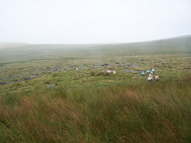 File:Rocky moorland north of Black Tor - geograph.org.uk - 1439140.jpg