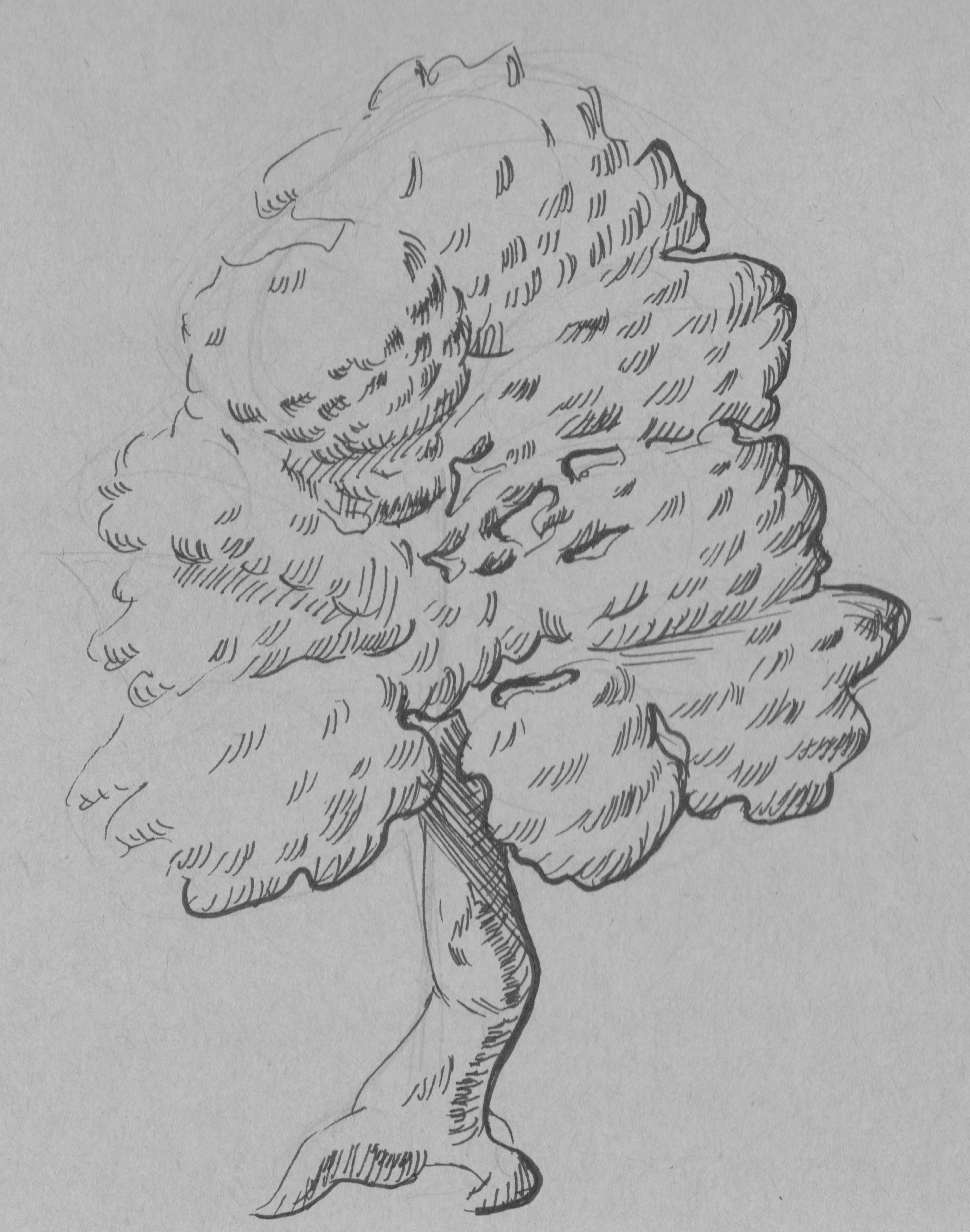 Twisted Tree Sketch With Ink - Make Something Mondays