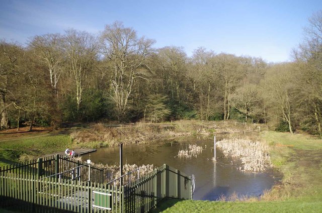 Sluice on Loughton Brook - geograph.org.uk - 3324835