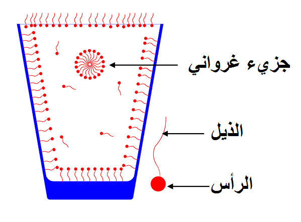 File:Surfactants in glass with micelle.PNG