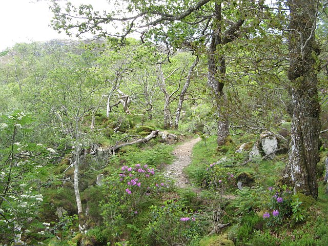 File:The Silver Path - geograph.org.uk - 1349254.jpg