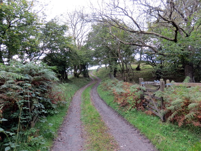 File:Uwchben Allt yr Ystrad - Above Allt yr Ystrad - geograph.org.uk - 4698971.jpg