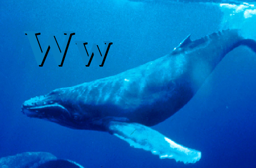 W is for Whale.png