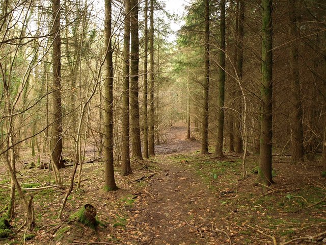 Wysis Way - geograph.org.uk - 1724533