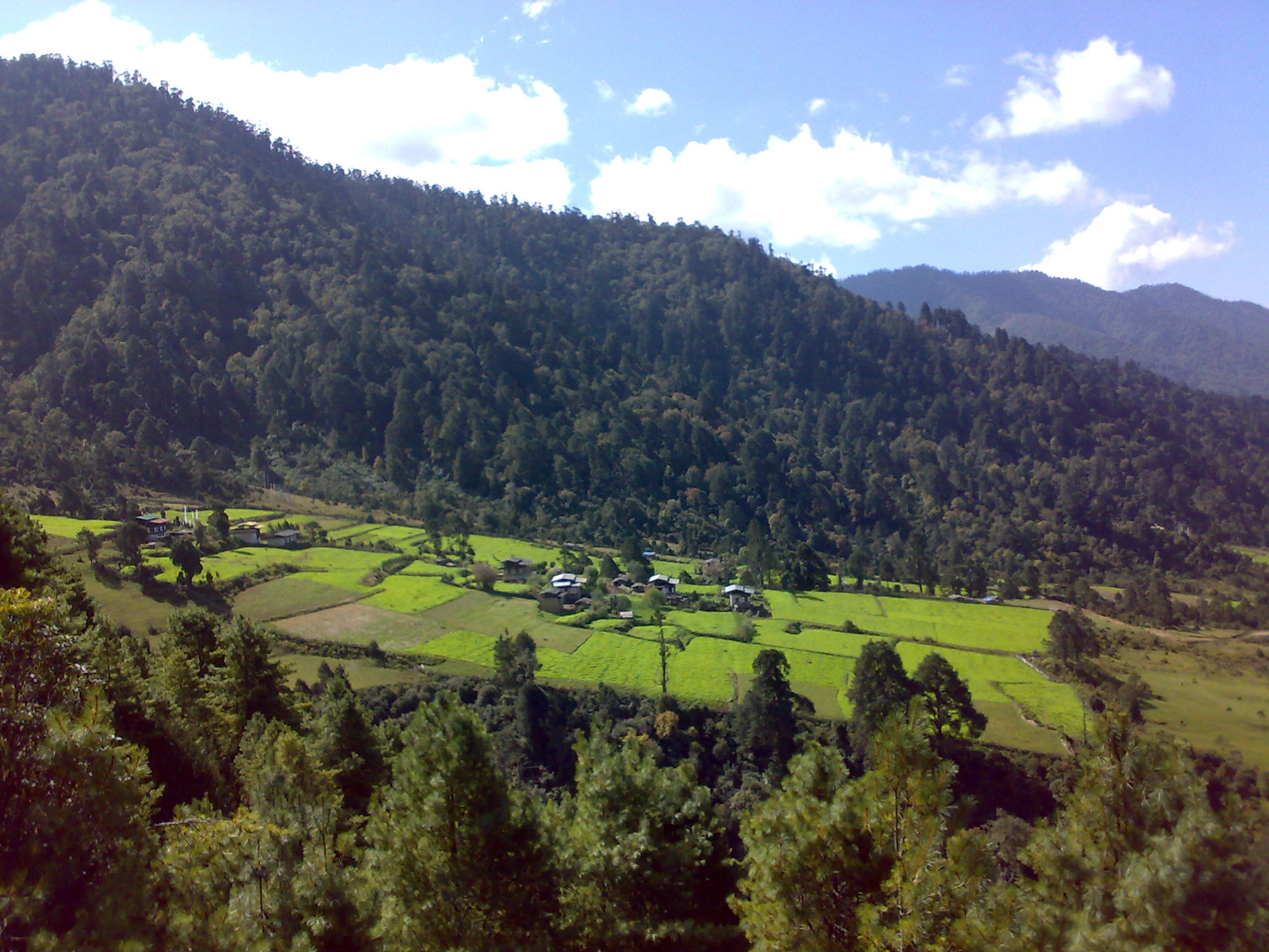 Бутаное. Аруначал-Прадеш. Бутан черные горы. Леса Аруначал-Прадеш. Бангладеш предгорье.
