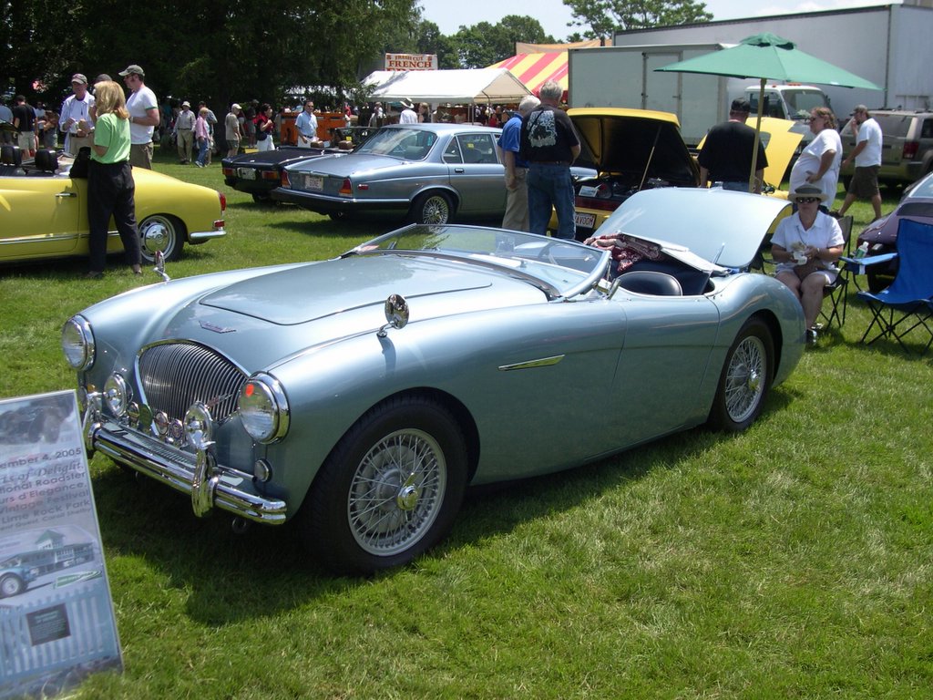 Ficheiro:1956 Austin-Healey 100 Roadster.JPG – Wikipédia, a ...