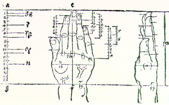 File:Albrecht Dürer - Hand - WGA07265.jpg